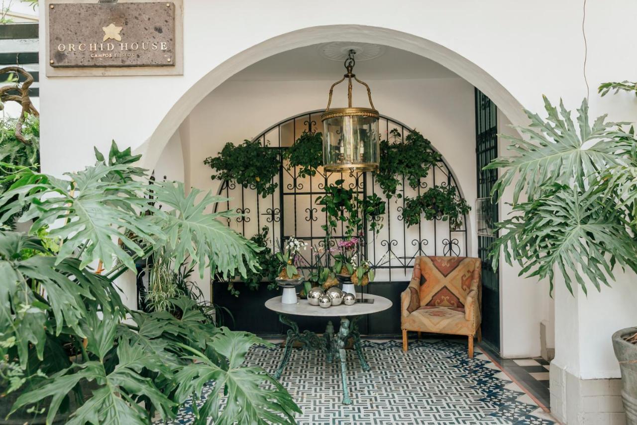 Orchid House Polanco Hotel Мексико Сити Екстериор снимка