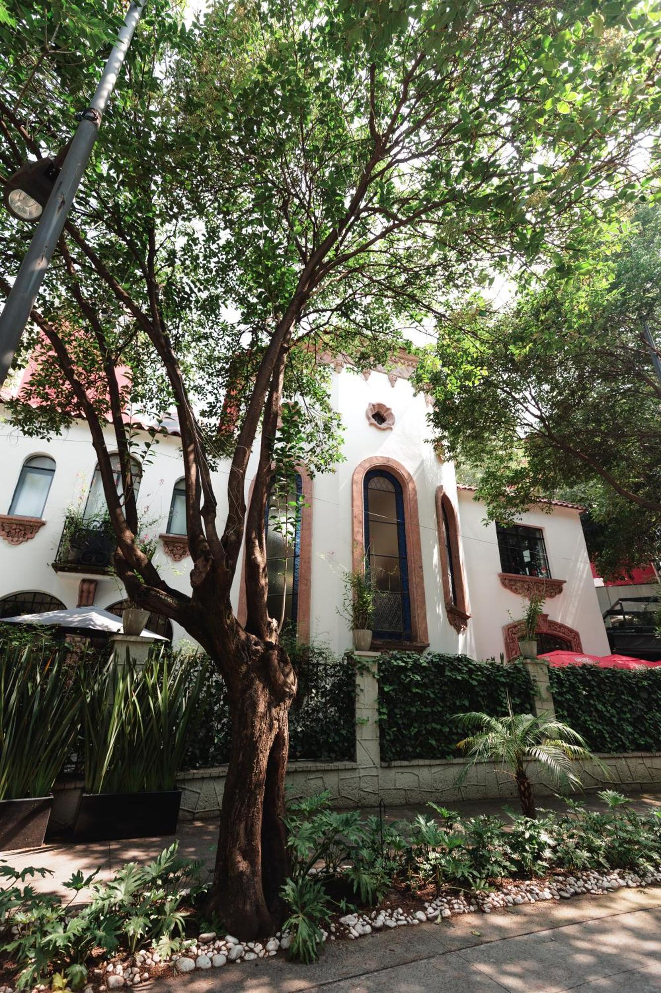 Orchid House Polanco Hotel Мексико Сити Екстериор снимка