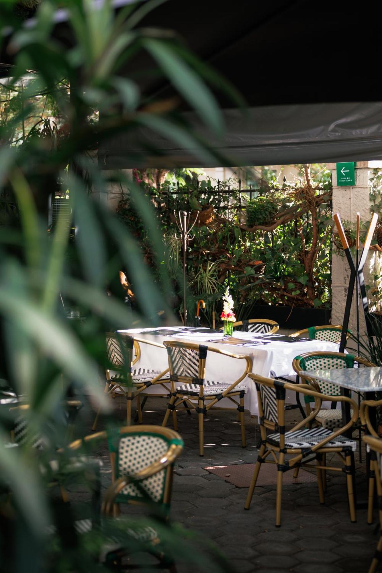 Orchid House Polanco Hotel Мексико Сити Екстериор снимка