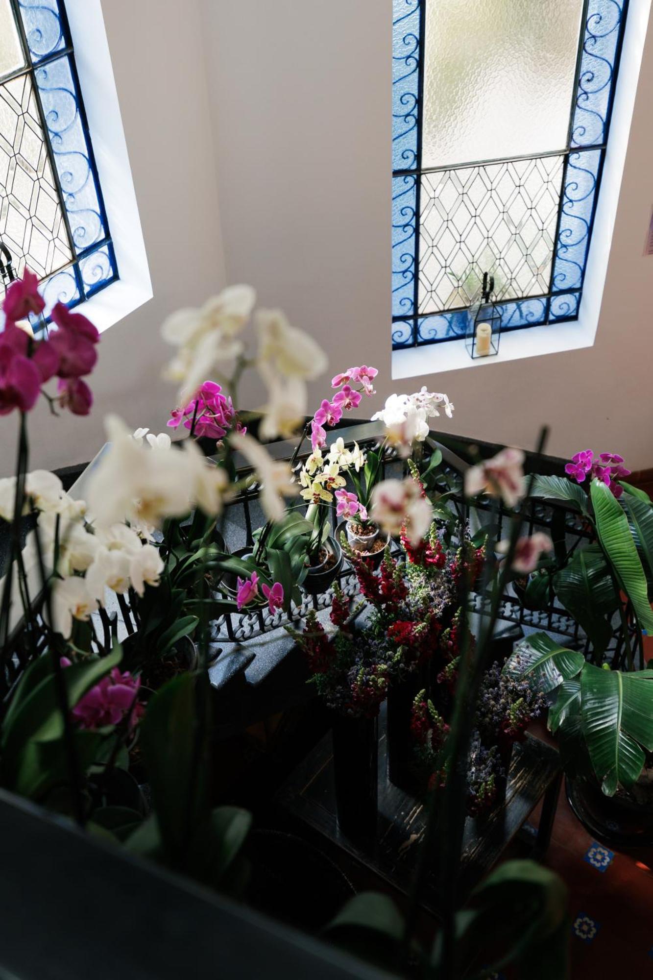 Orchid House Polanco Hotel Мексико Сити Екстериор снимка