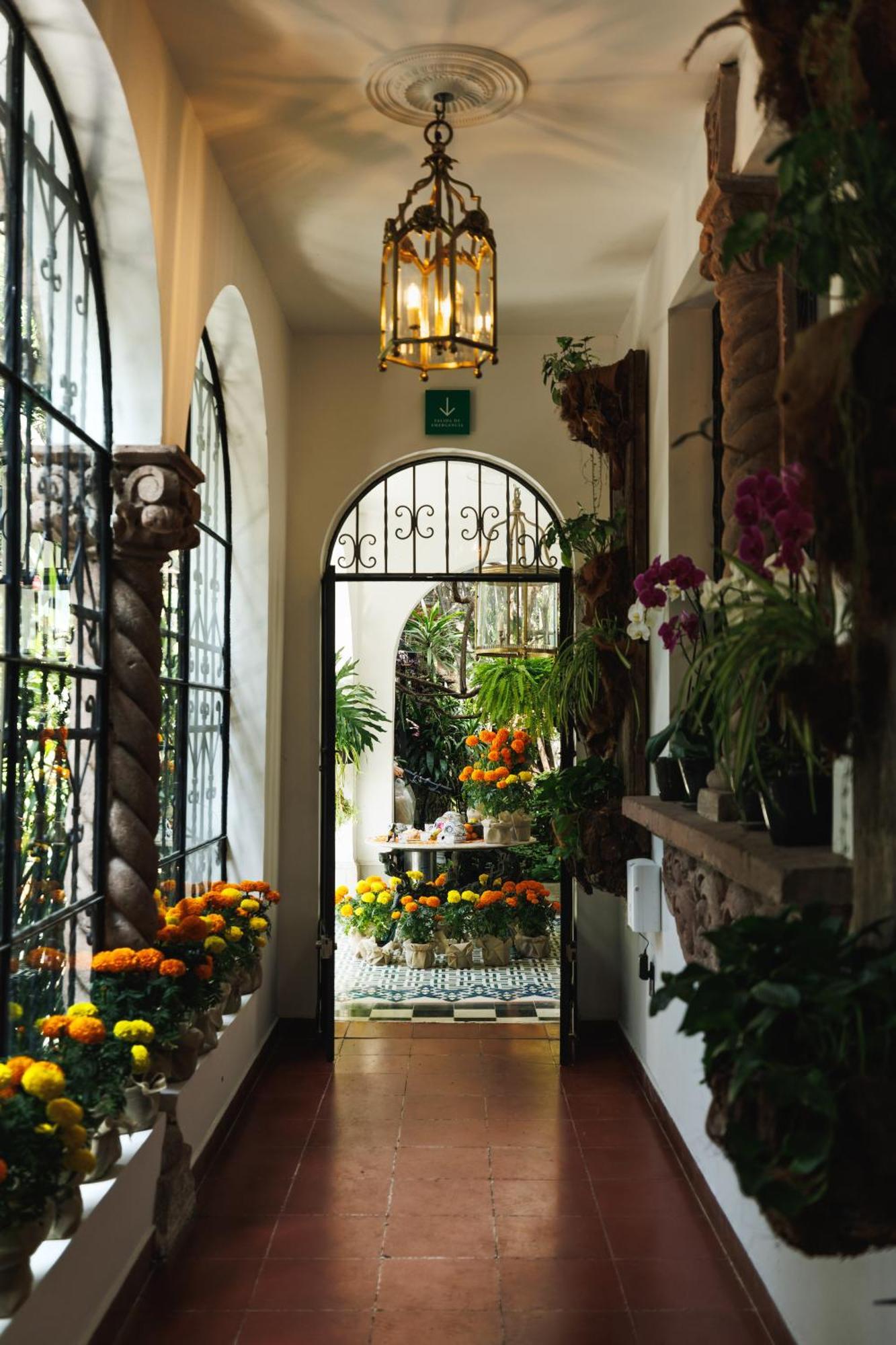 Orchid House Polanco Hotel Мексико Сити Екстериор снимка