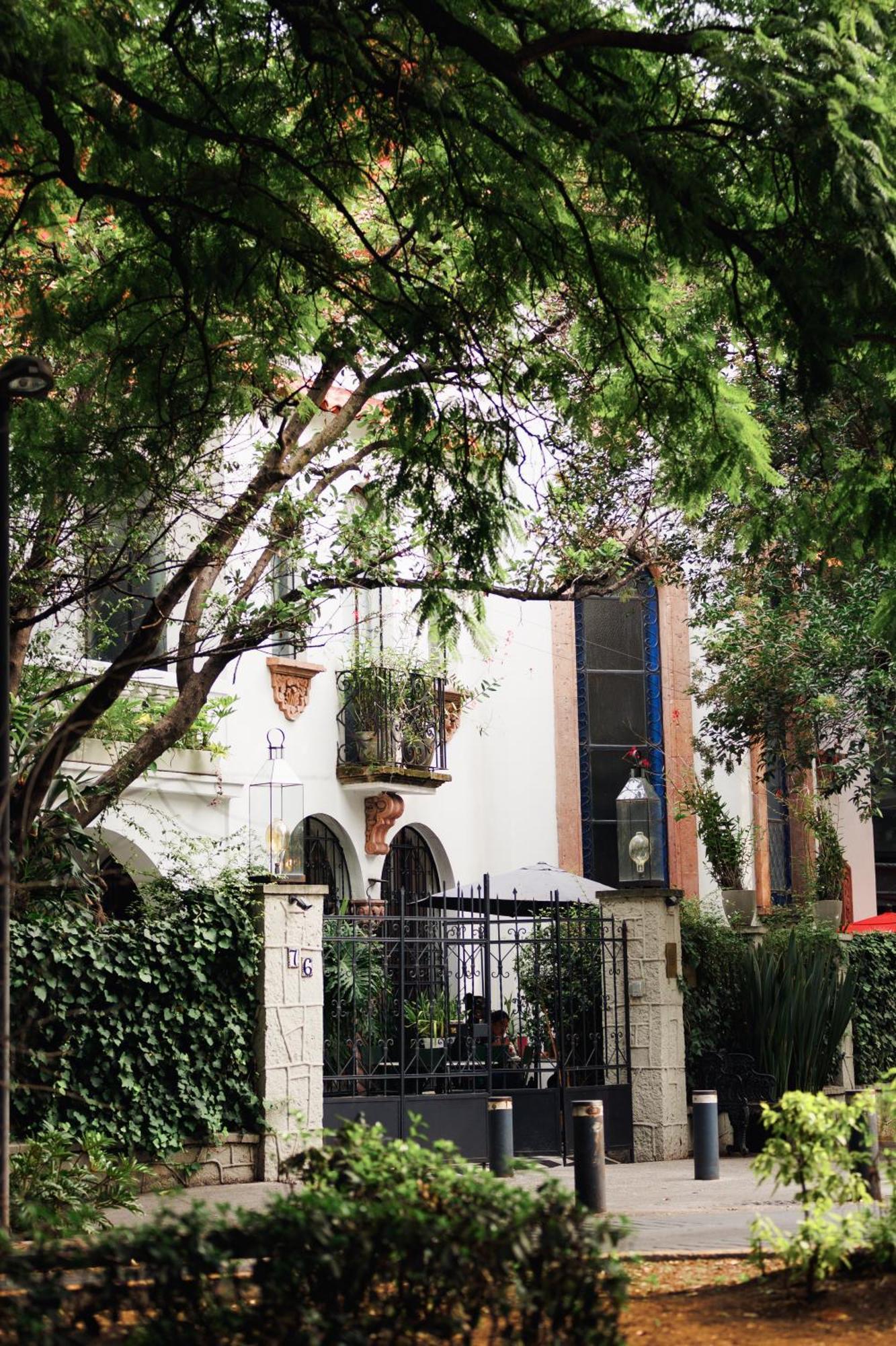 Orchid House Polanco Hotel Мексико Сити Екстериор снимка